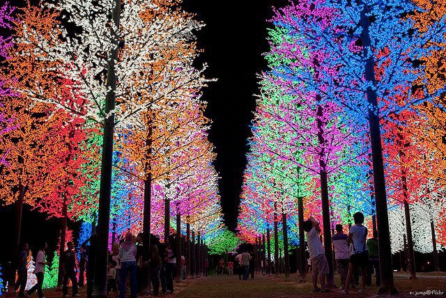 Christmas Decoration & Safety Tips