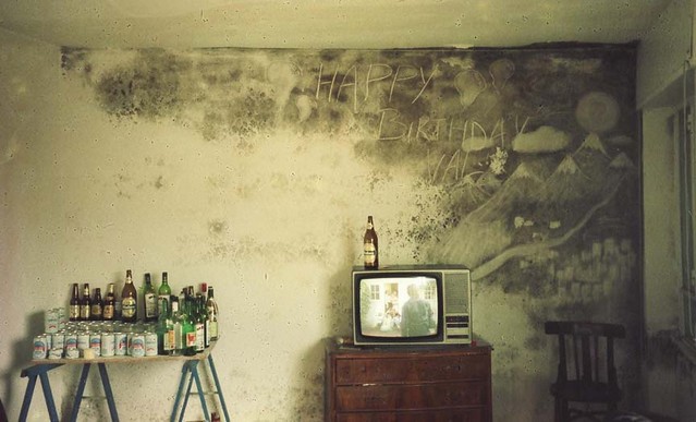 Preventing Allergic Reactions Caused by Mould Spores