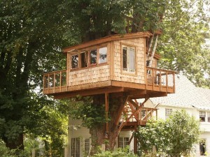 treehouse