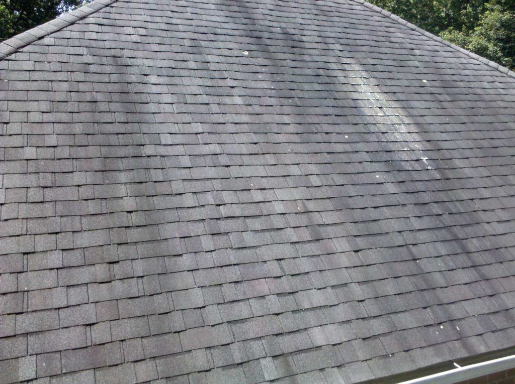Gloeocapsa Magma on Shingles | Roof Cleaning Brisbane