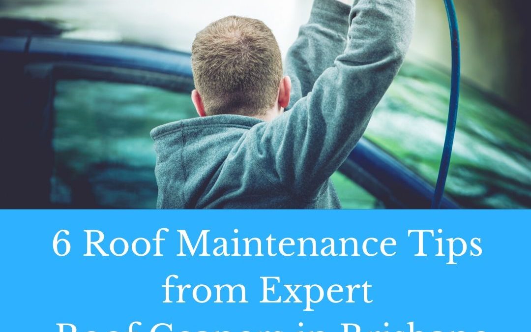 roof cleaners in Brisbane