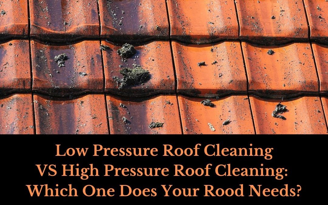Low Pressure Roof Cleaning
