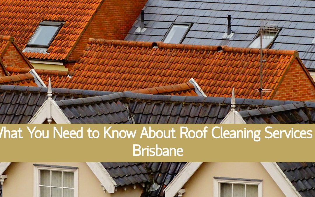 What You Need to Know About Roof Cleaning Services in Brisbane