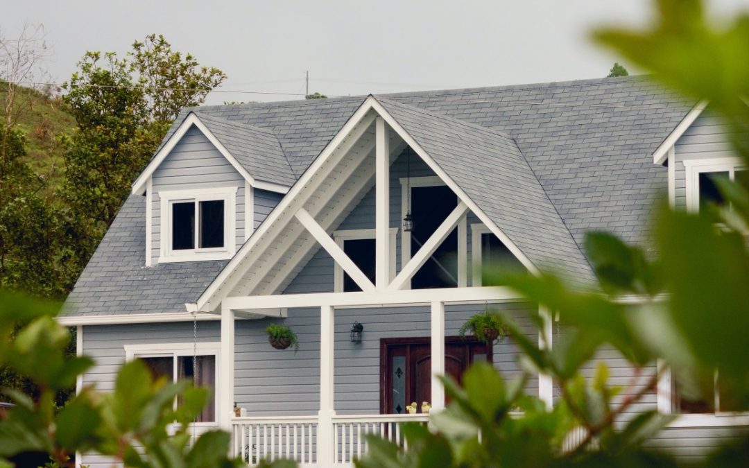 roof cleaning