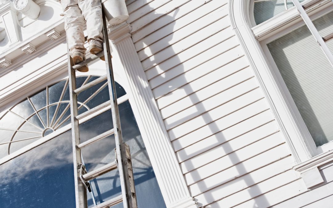 Soft Washing vs. Painting Walls: Which is Better?