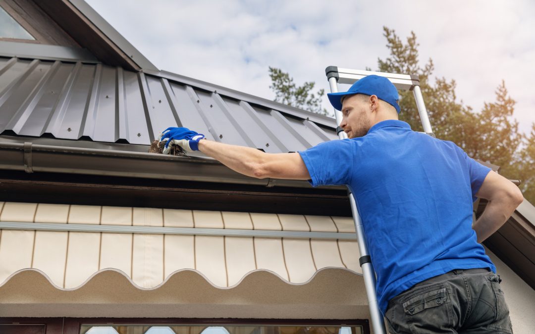 5 Simple Tips When Choosing the Best Gutter Cleaning Company