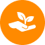 Hand holding a plant